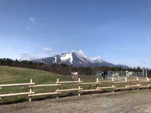 見晴らしまきば(4月末)　牧草の成長が進み、草地も緑に色づきはじめた様子写真