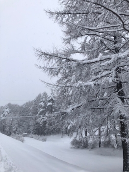 3月末の牧場風景写真