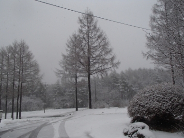 雪の様子写真