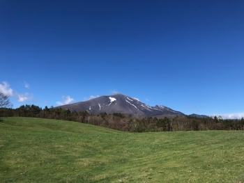 写真：1ヵ月程前に比べて草地が青々としてきました