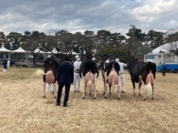 共進会の審査の様子写真