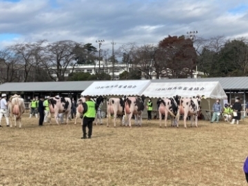 共進会の様子写真