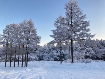 積雪の様子写真