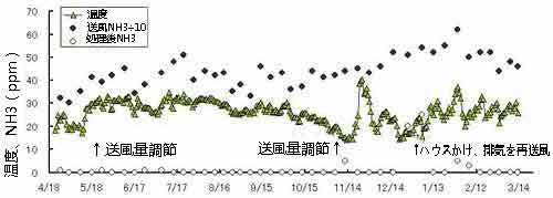 軽石中心部の平均温度とアンモニア濃度：グラフ