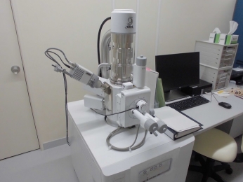 走査型電子顕微鏡の写真