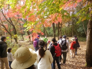 フォレストウォークの様子写真
