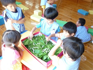 かいこと遊ぶ園児の写真