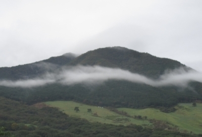 小野子山の画像