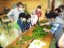 観察会の様子写真2