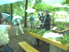 観察会の様子写真その1