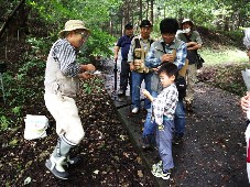 観察会の様子写真その2