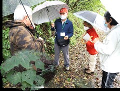 観察会の様子写真その1