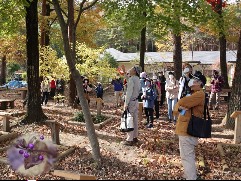 観察会の写真その1