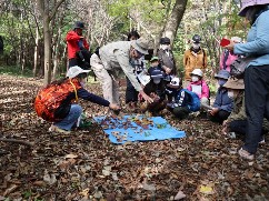観察会の写真その2