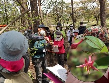 観察会の写真その3