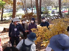 観察会の様子写真その2