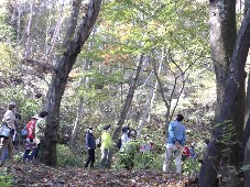 観察会の様子写真その4