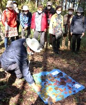 観察会の様子写真その5