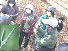 観察会の様子写真その3