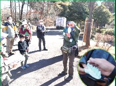 観察会の様子写真その4