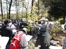 観察会の様子の写真その2