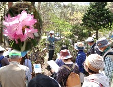 観察会の様子の写真その4