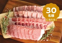 Twitterキャンペーン景品「群馬県産銘柄豚肉詰め合わせセット」イメージの写真