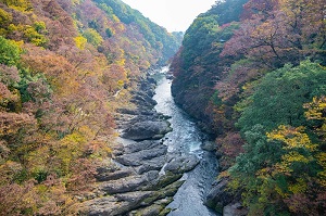 高津戸峡の写真