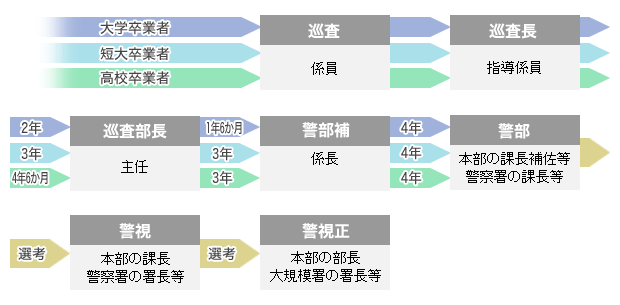 昇任制度の画像