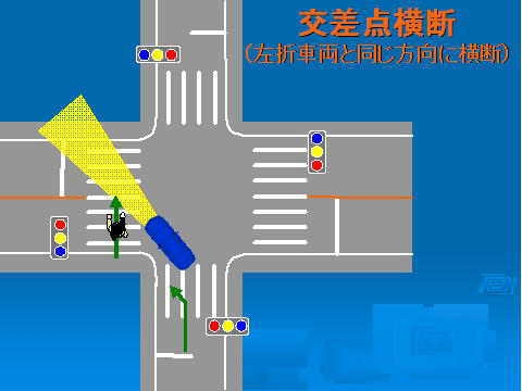 交差点における道路横断別の見え方の違いの画像10