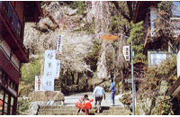 妙義神社の画像