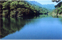 妙義湖の画像