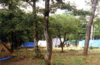 花見ヶ原キャンプ場の写真の画像