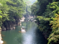 渡良瀬川の写真