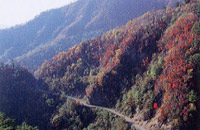 山道の写真