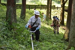 下刈り作業の写真