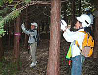 森林整備の写真