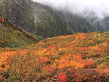 紅葉芝倉沢の写真