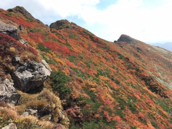谷川岳山頂付近、西側斜面の紅葉の写真