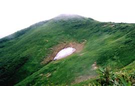 大水上山三角雪渓の画像