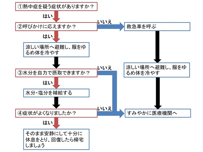 熱中症フローチャート画像