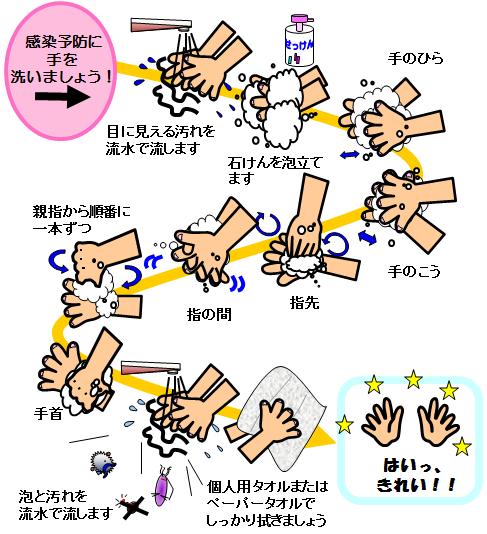 手洗いの手順の画像