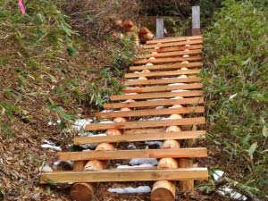 県管理木道修繕の写真