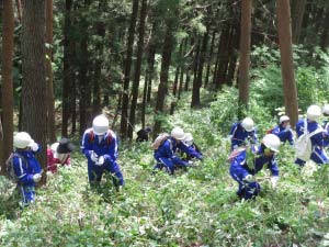 森林整備体験の写真