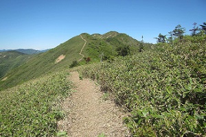 稜線トレイルイメージ写真