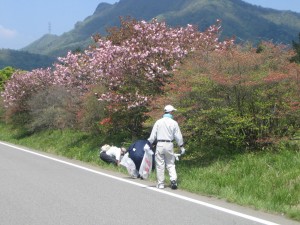 昨年度（平成24年）の榛名湖周辺清掃活動の画像2