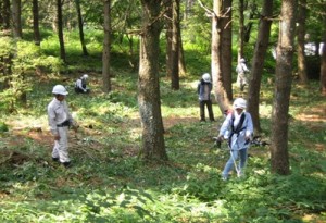 ぐんま環境学校（エコカレッジ）第2回目 実習「育樹（いくじゅ）作業の体験」の画像