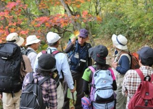 ぐんま環境学校（エコカレッジ）第5回目 実習「植生及び樹種の学習」の画像