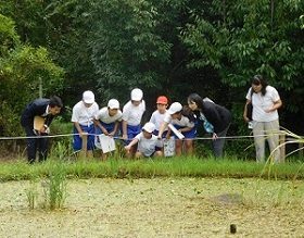 自然観察会の様子の画像1