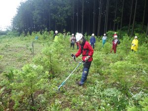 ぐんま環境学校（エコカレッジ）第4回目 森林ボランティア体験会の画像2